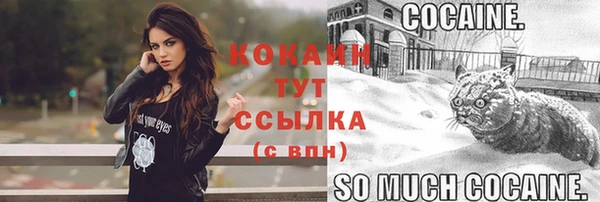 шишки Кинешма