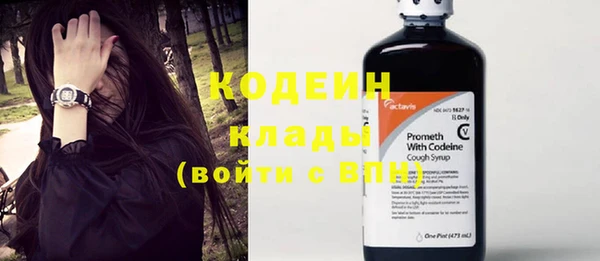 шишки Кинешма