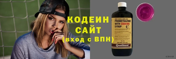 мдпв Киренск