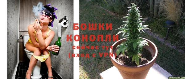 шишки Кинешма