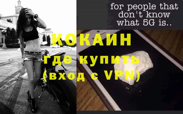 шишки Кинешма