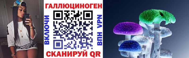 Купить  Миллерово  Псилоцибиновые грибы Psilocybe 